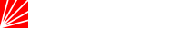 Logisticus Group - logo